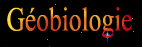 Géobiologie